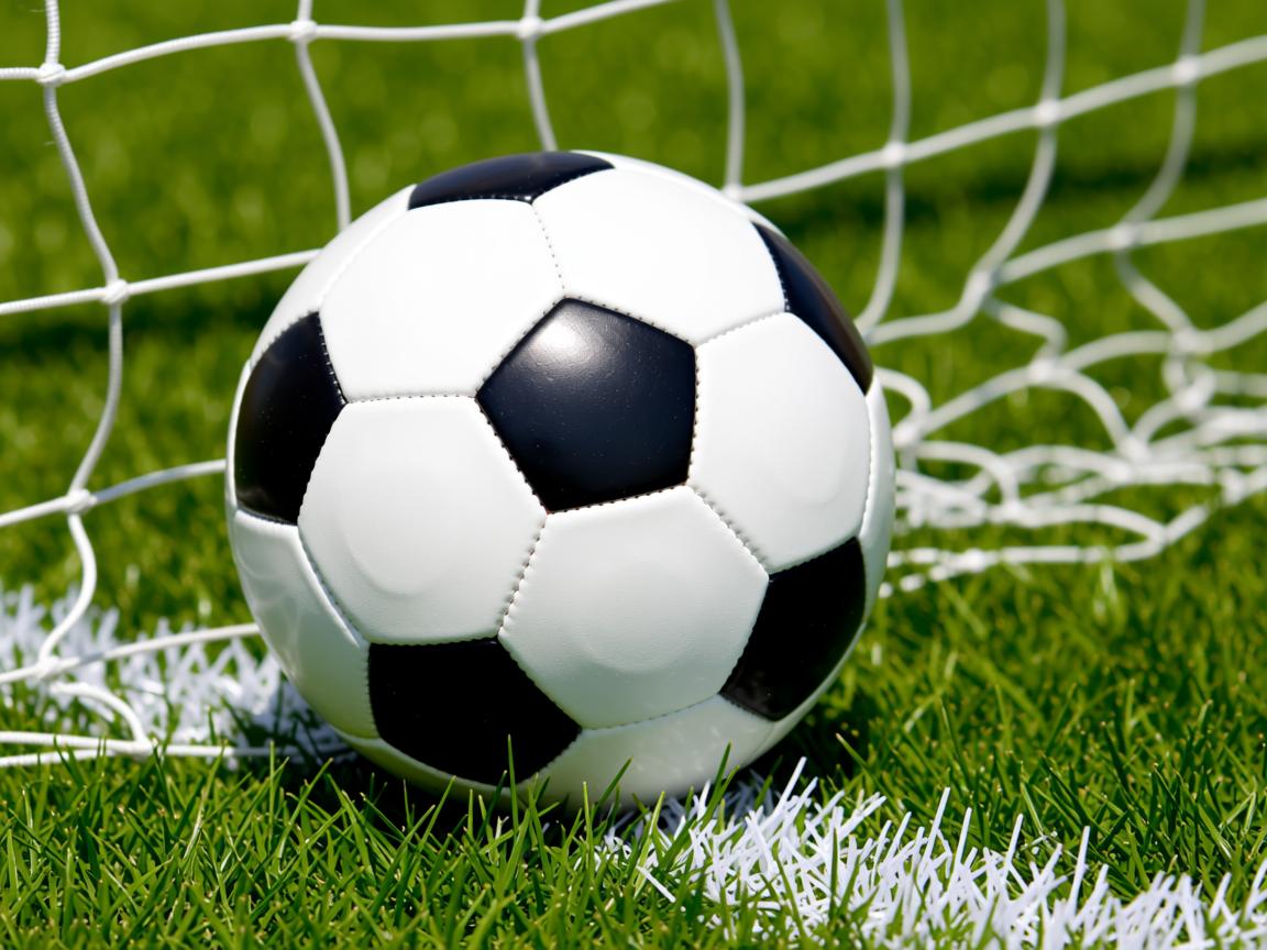 kaiyun开云体育-CBA球队注重伤病防护，cba 伤病  第3张