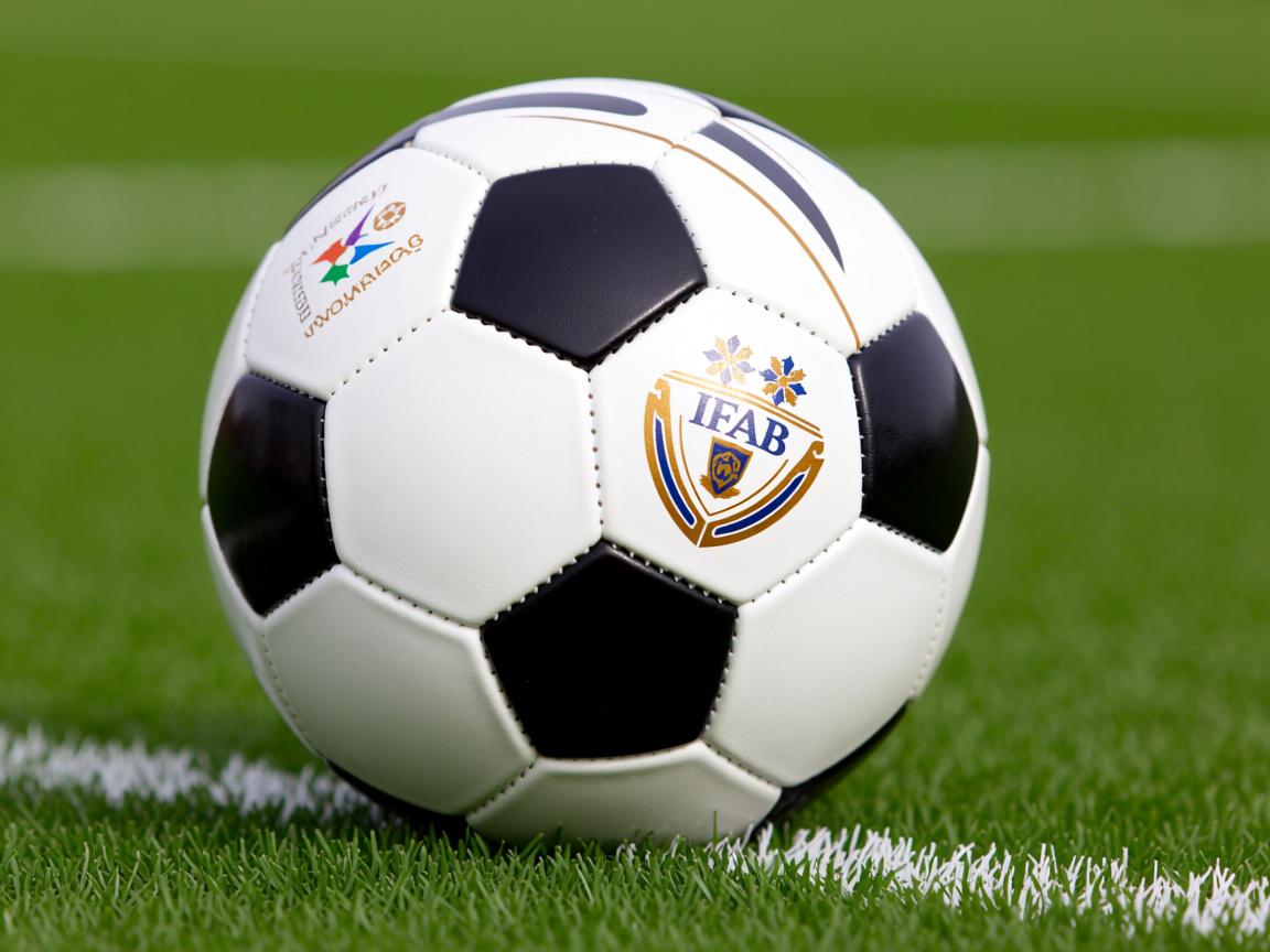 kaiyun开云体育-中长距离自由泳表现稳定，长距离自由泳技巧