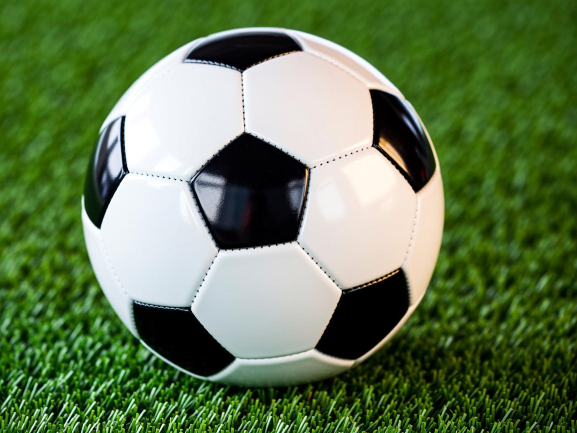 开云体育官网app-体育新闻中心联合机构推进体育科普视频策划联盟，体育赛事媒体宣传方案  第3张