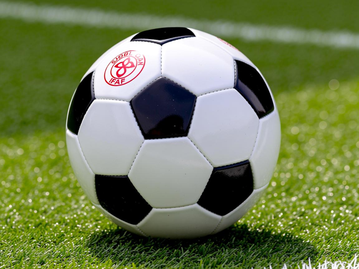 开云体育app入口-全国攀岩公开赛高水平选手齐聚一堂，攀岩资格赛  第1张