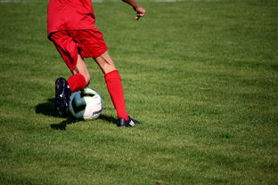 开云app-体育新闻中心发布体育赛事AI辅助裁判系统，ai裁判 体操  第2张